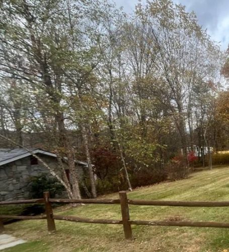 lawn-care-201 lawn-care-201